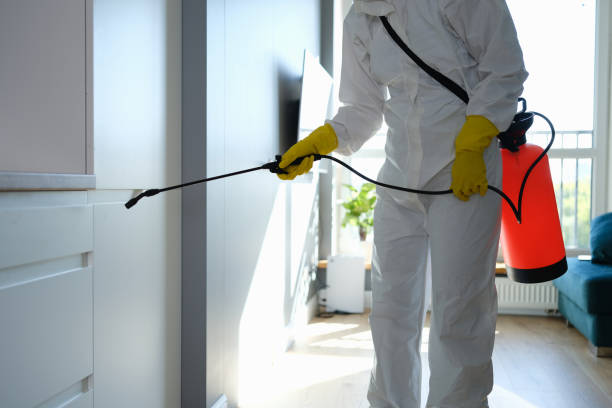 Best Commercial Mold Removal  in Buies Creek, NC